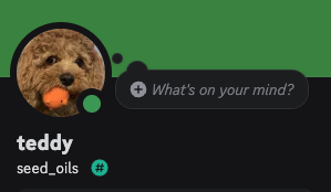 Discord Profile